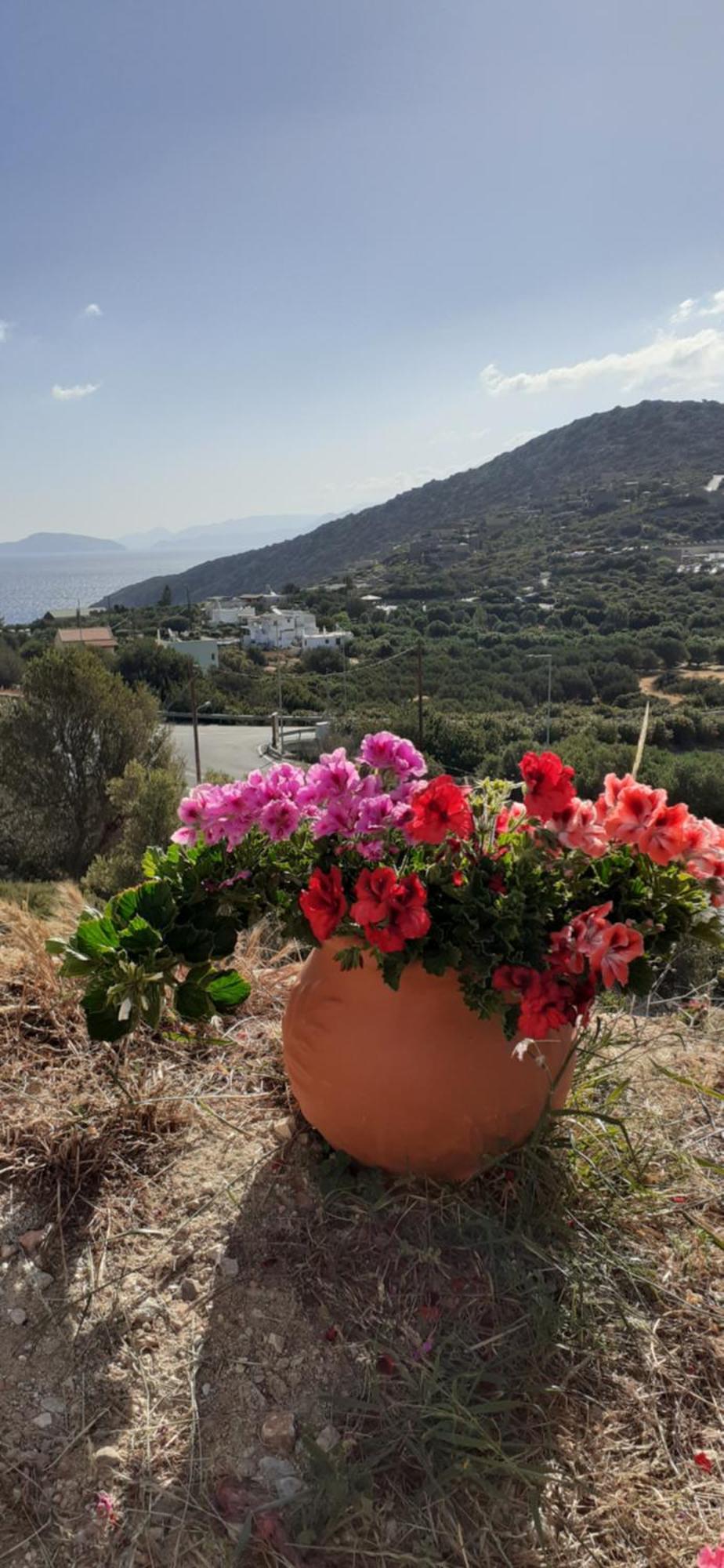Hari Apartments Vathi, Agios Nikolaos Crete Luaran gambar