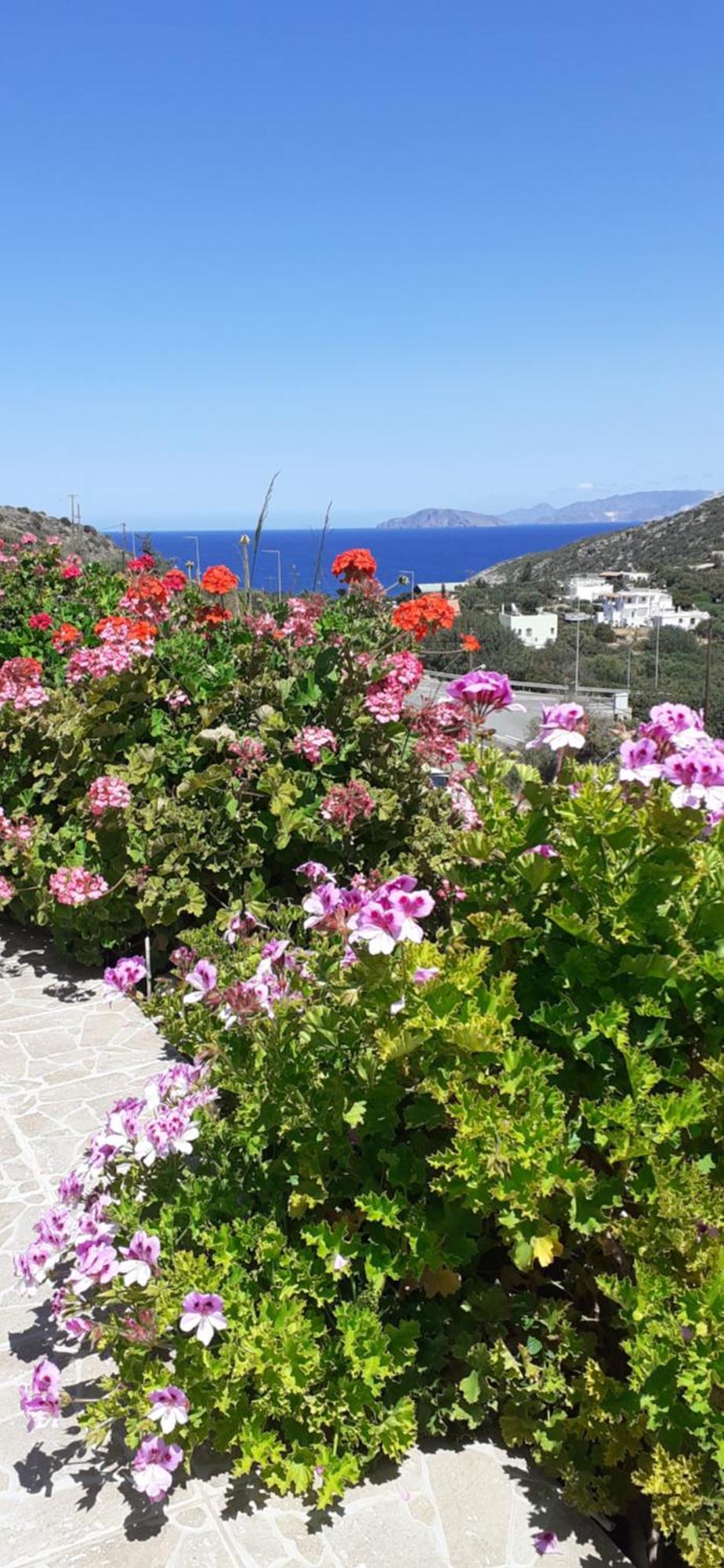 Hari Apartments Vathi, Agios Nikolaos Crete Luaran gambar