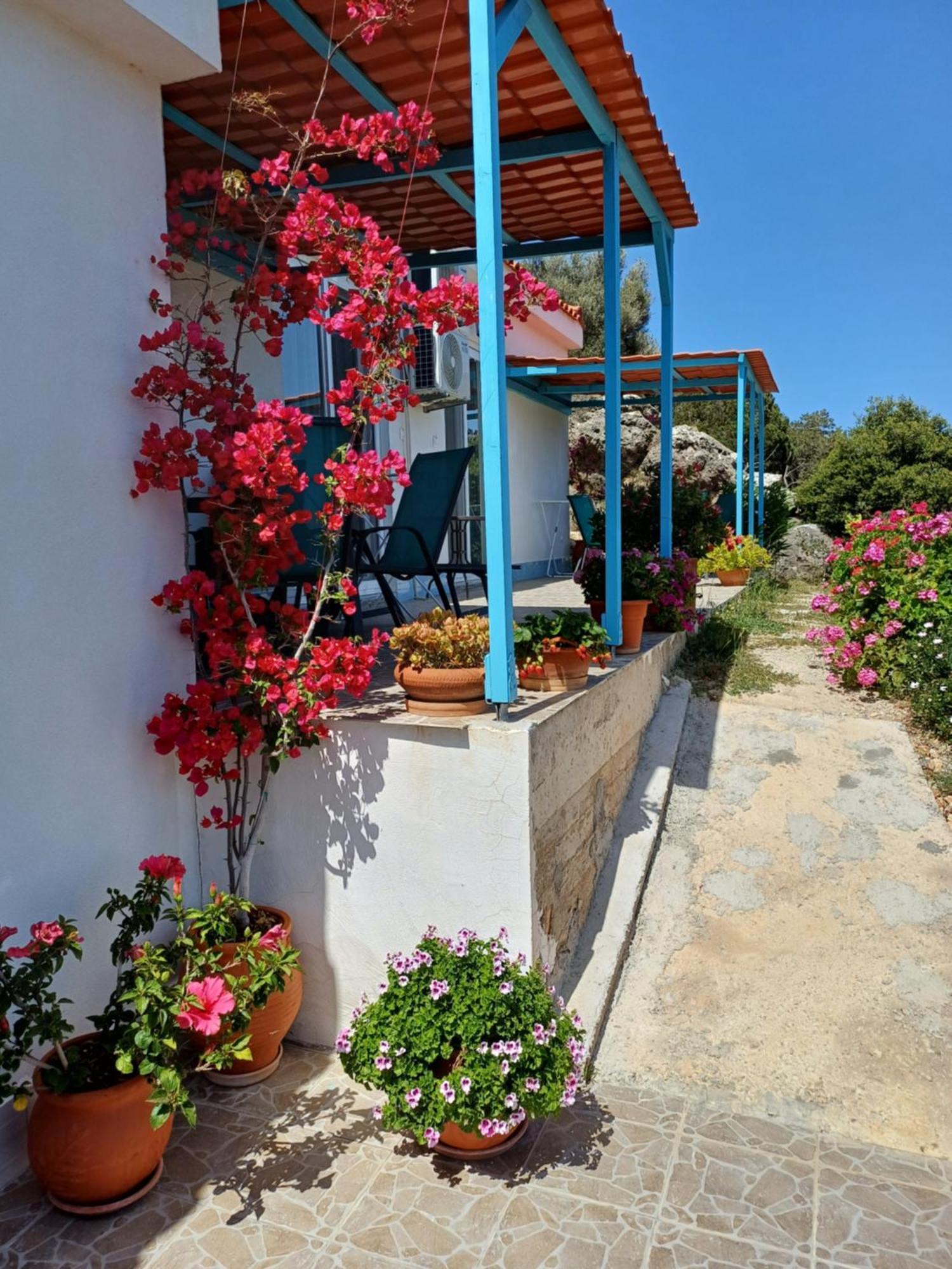 Hari Apartments Vathi, Agios Nikolaos Crete Luaran gambar